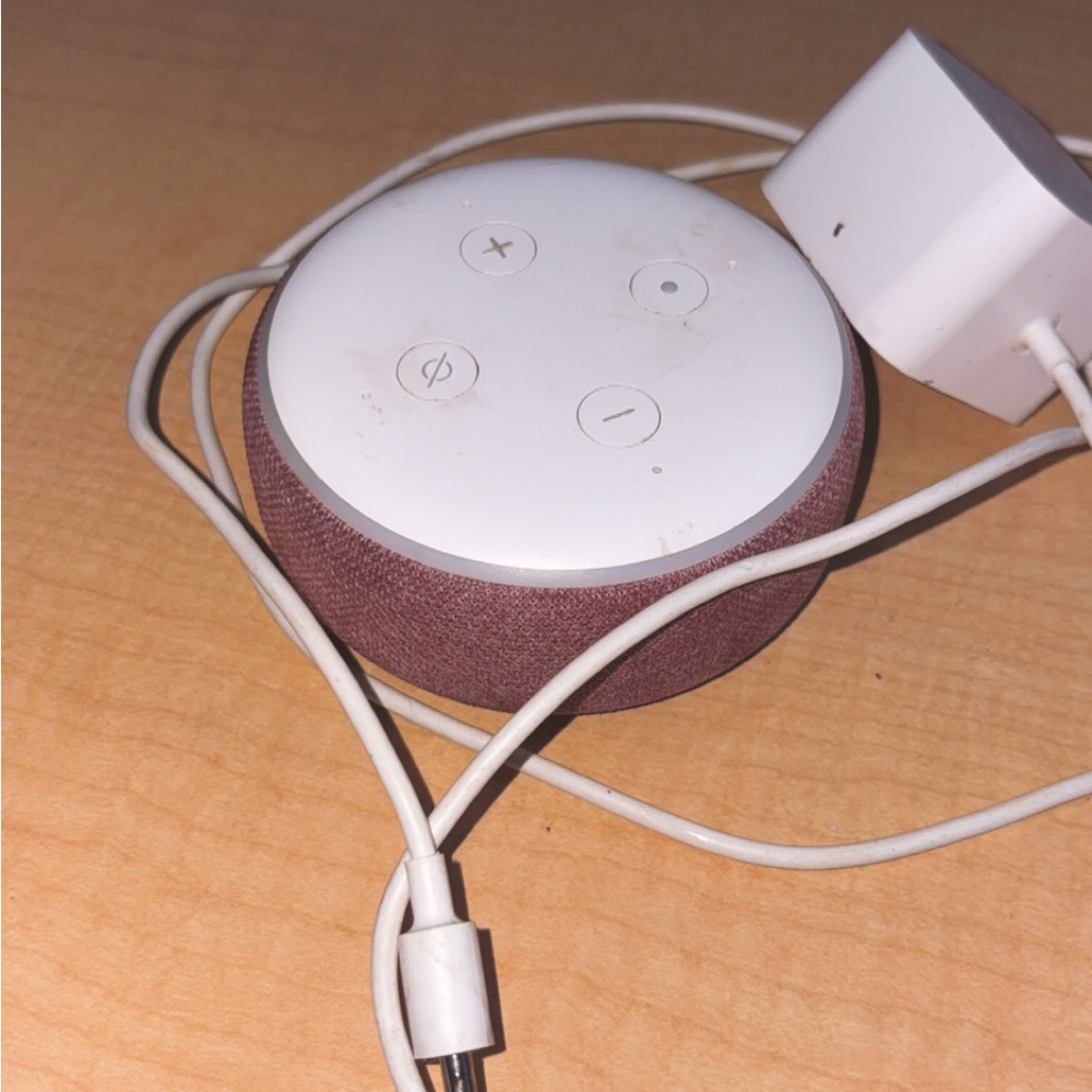 Amazon Echo Dot with White and Brown Design